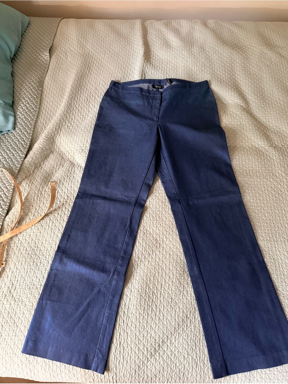 Express Stretch Blue Striped Skirt